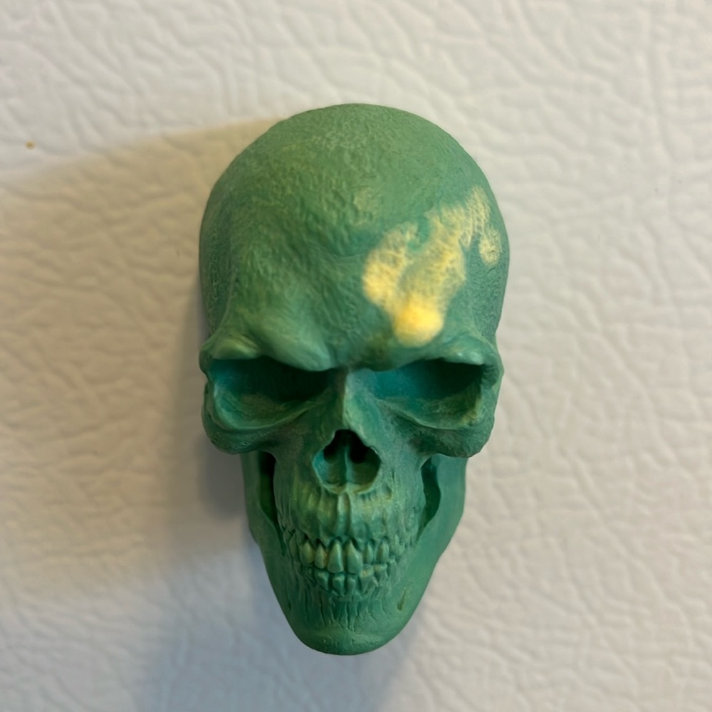 Skull magnet